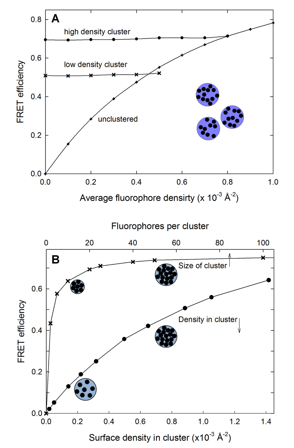 ExiFRET: E vs density for clusters of fluorophores
